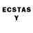 Ecstasy louis Vuitton stella gevorgyan