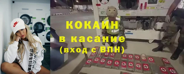 индика Александровское
