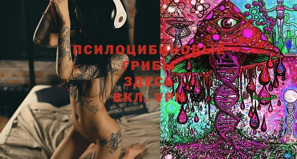 MDMA Premium VHQ Зеленодольск
