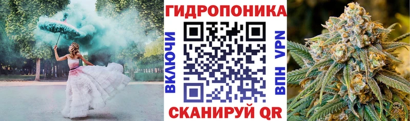 Конопля сатива  Светлогорск 